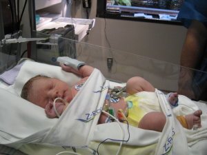 Jayden in CVICU.